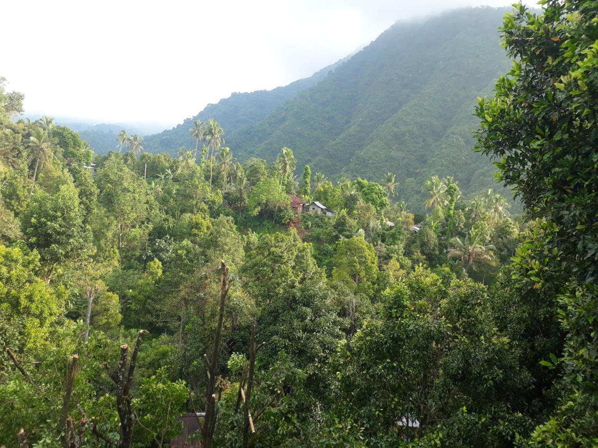 Sugi Gede Homestay Singaraja  Exterior photo