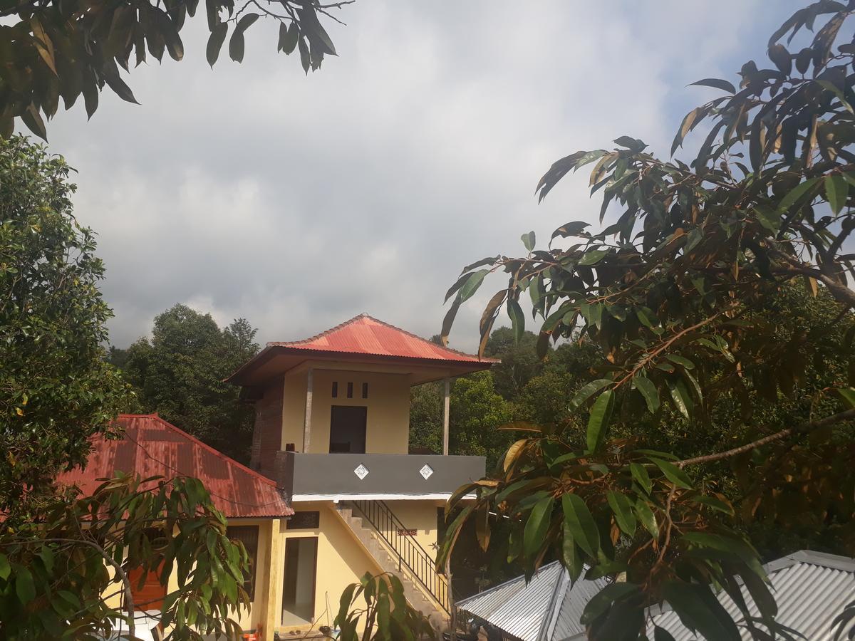 Sugi Gede Homestay Singaraja  Exterior photo