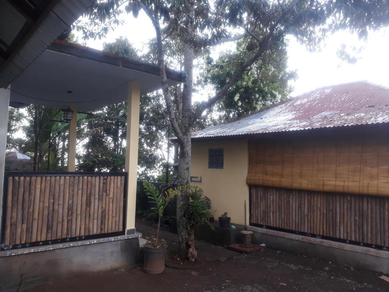 Sugi Gede Homestay Singaraja  Exterior photo